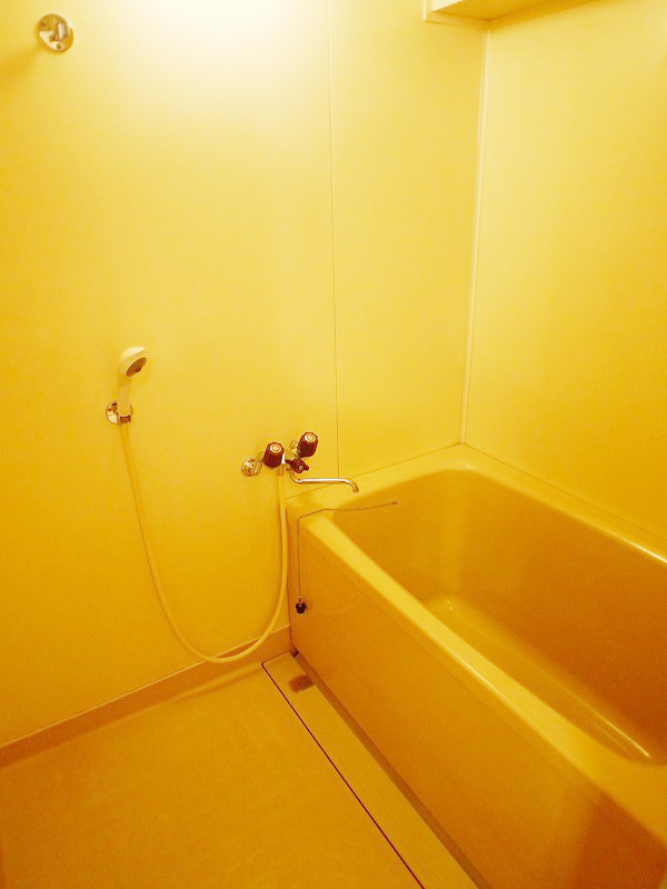 Bath. In the washing machine is also room Area by Mochiran bus toilet! 