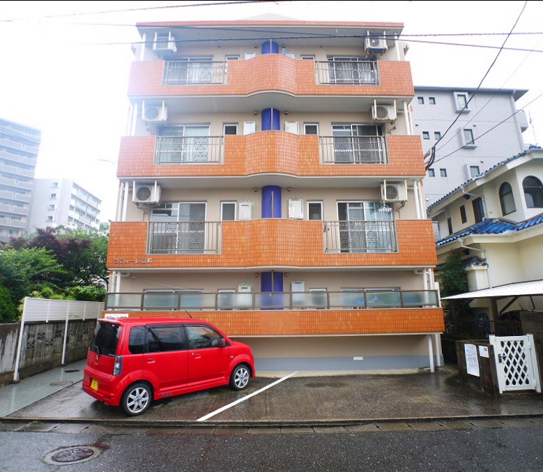 Building appearance. Mansion Type