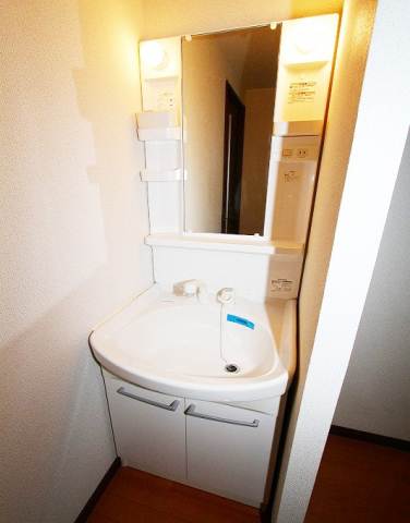 Washroom. Shampoo is Dresser