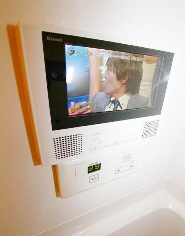 Other Equipment. It comes with a bathroom TV