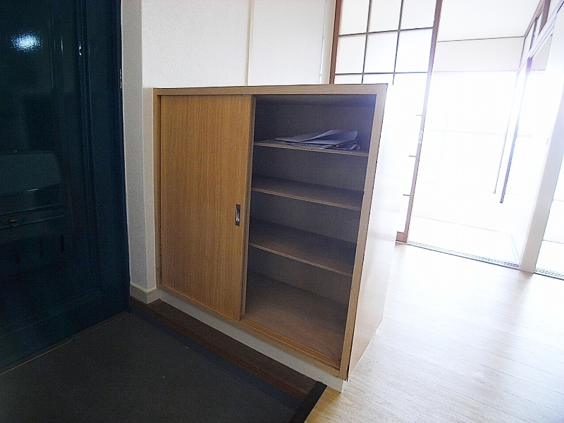 Entrance. Lot enter shoes BOX