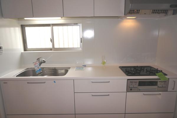 Kitchen. Indoor (11 May 2013) Shooting