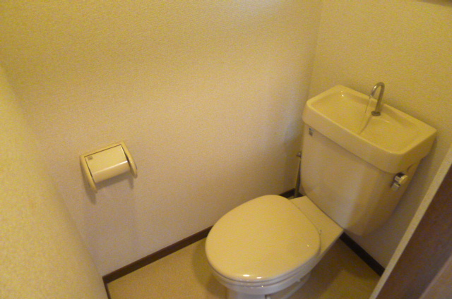 Toilet. Clean toilets