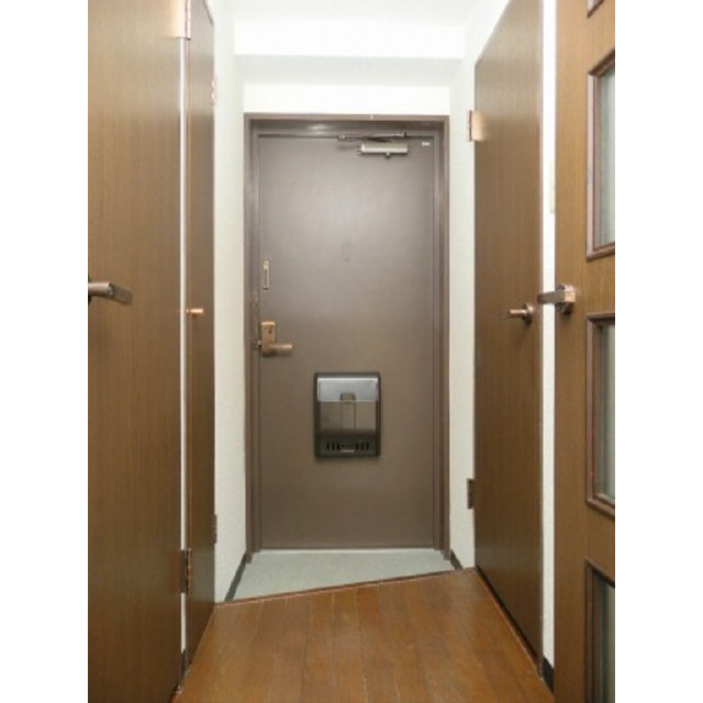 Entrance. Entrance space