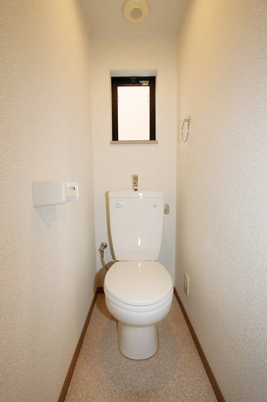 Toilet. Lighting has taken to the toilet