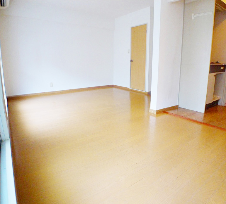 Living and room. It is insanely beautiful ~