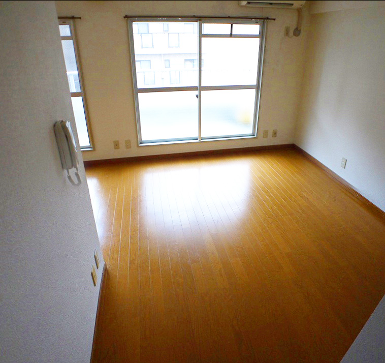 Living and room. Cheap Western-style 10 Pledge