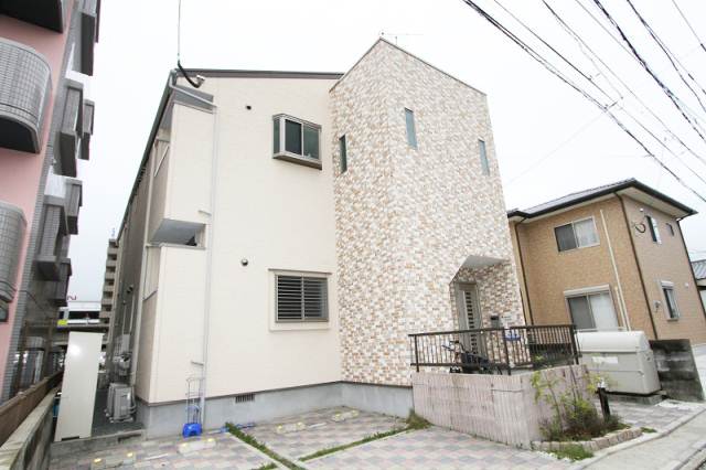 Other. Appearance is fashionable