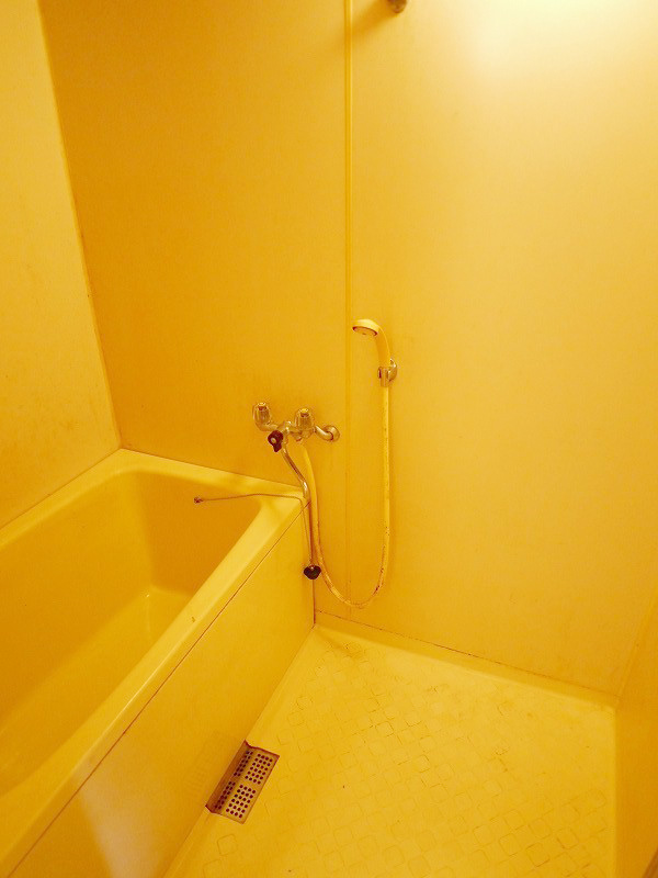 Bath. Spacious bathroom