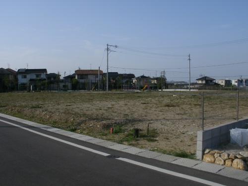 Local land photo. The green of moisture full of living in gardening and home garden!