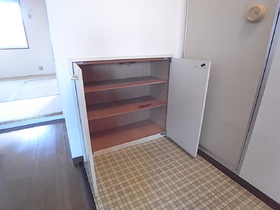 Other. That's right, It is a shoebox