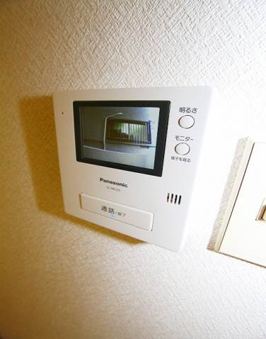 Security. Women peace of mind in the TV monitor Hong