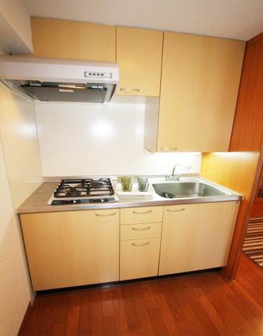 Kitchen. Two-burner stove system Kitchen