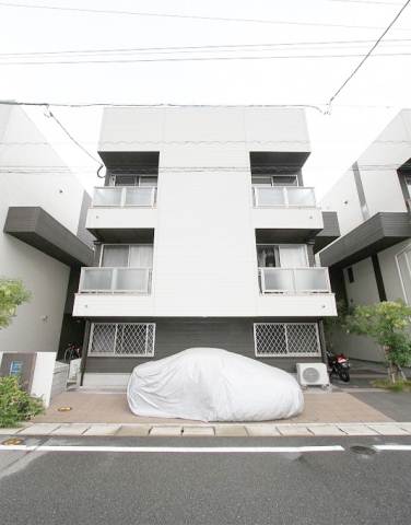 Other. Appearance is fashionable!