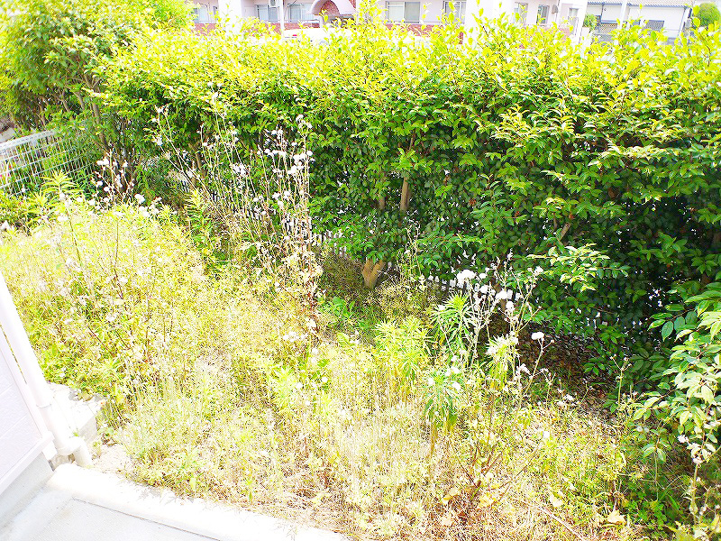 Garden. Happy garden