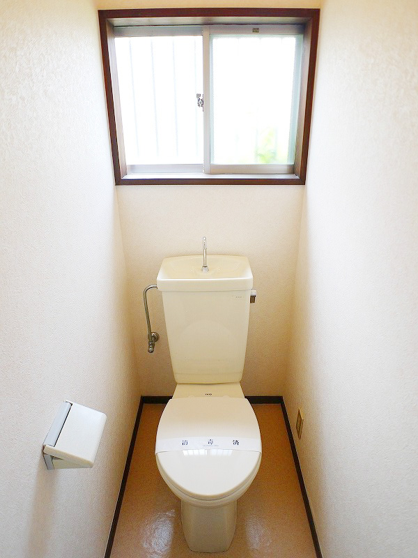 Toilet. The window in the toilet is priceless