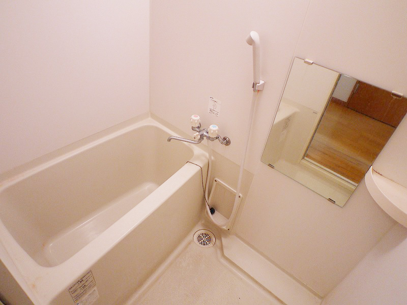 Bath. Spacious bathroom