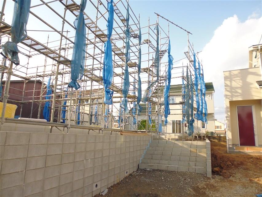 Local appearance photo. Local photo (2013 October 26, 2008)