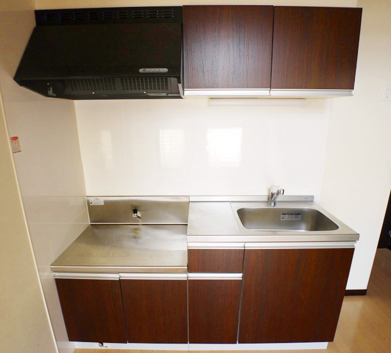 Kitchen. Stylish spacious kitchen