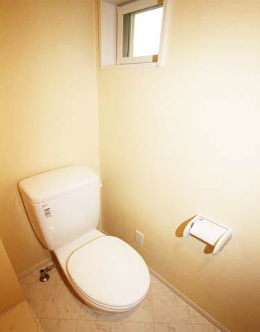 Toilet. Toilet! There are window