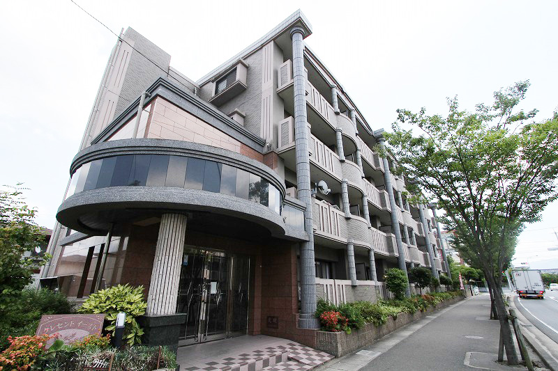 Other. Gorgeous appearance!