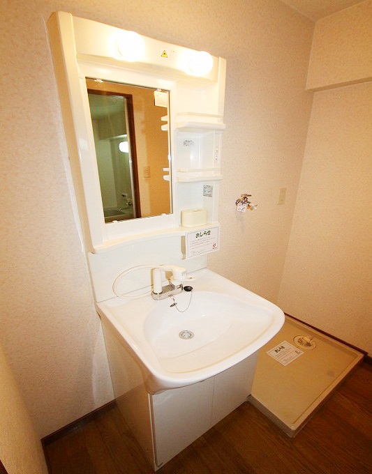 Washroom. It comes with of course shampoo dresser