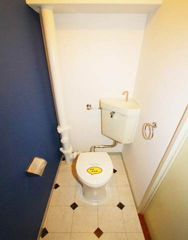 Toilet. Accent Cross