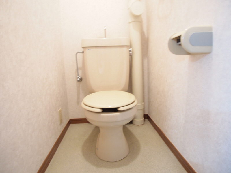 Toilet. Cleaning is sterilized.