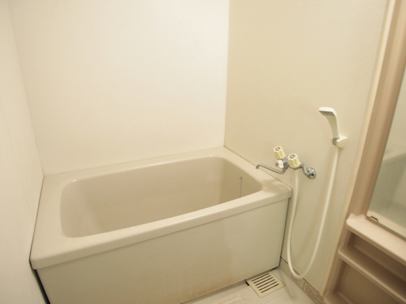 Bath. Here you sink the fatigue of the day.