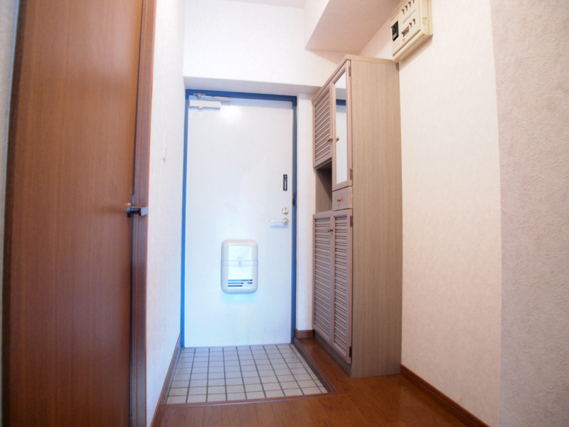 Entrance. Since the shoe cupboard with a mirror, Outing of check pat.