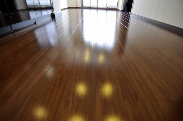 Living and room. Pet flooring image