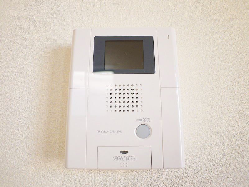 Security. Convenient TV monitor with Hong