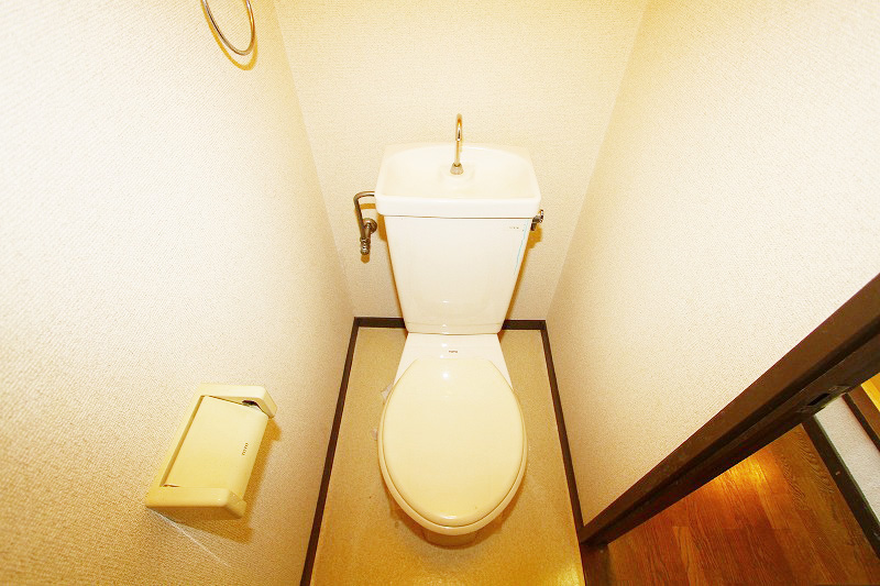 Toilet. Toilet