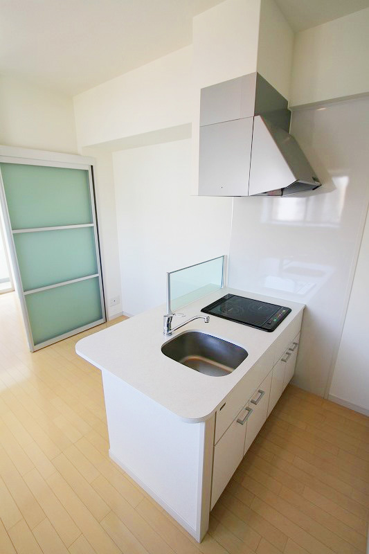 Kitchen. Island kitchen type