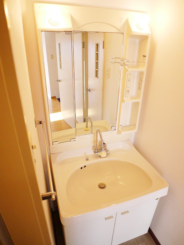 Washroom. Shampoo is Dresser washbasin