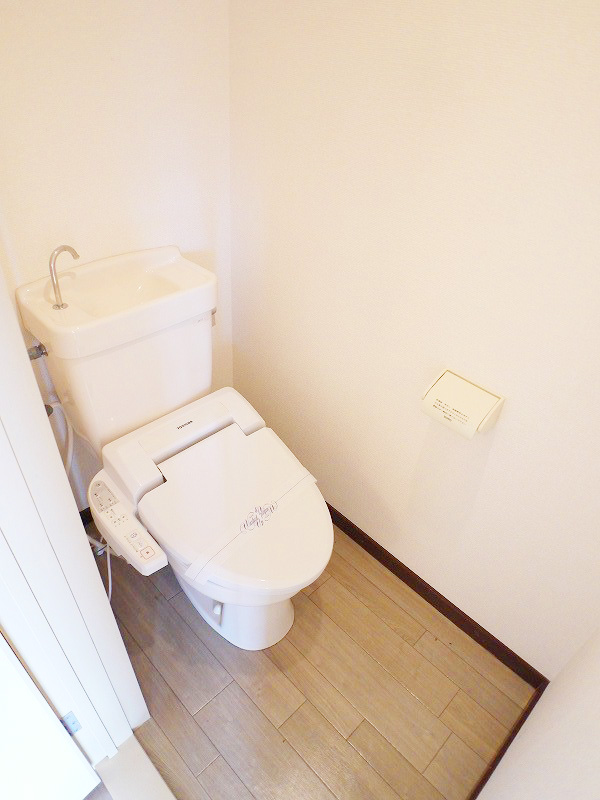Toilet. Bidet with toilet