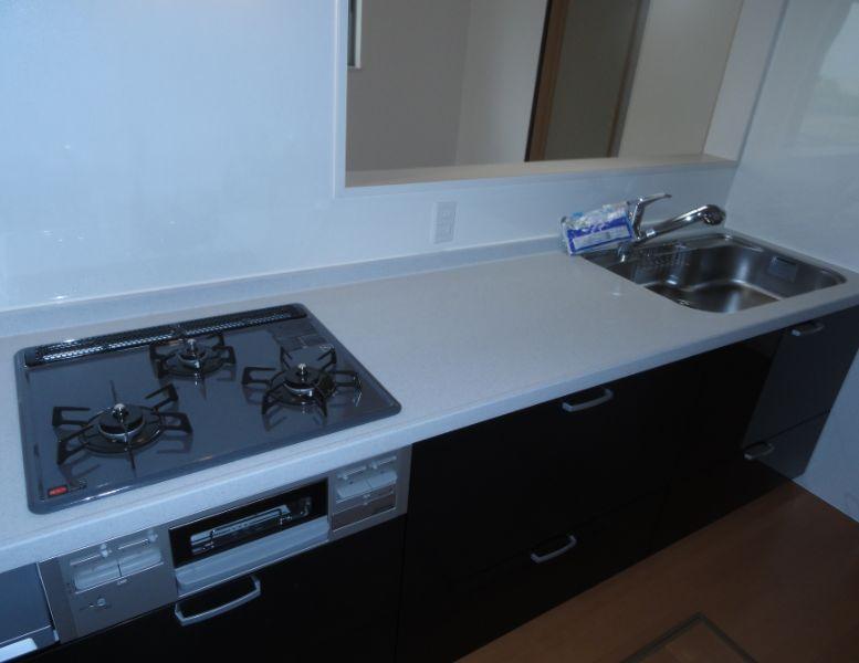 Other. ☆ Image is a photograph at the time of completion ☆