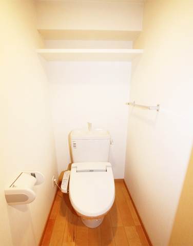 Toilet. Bidet with toilet