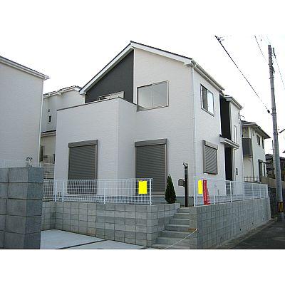 Local appearance photo. appearance!