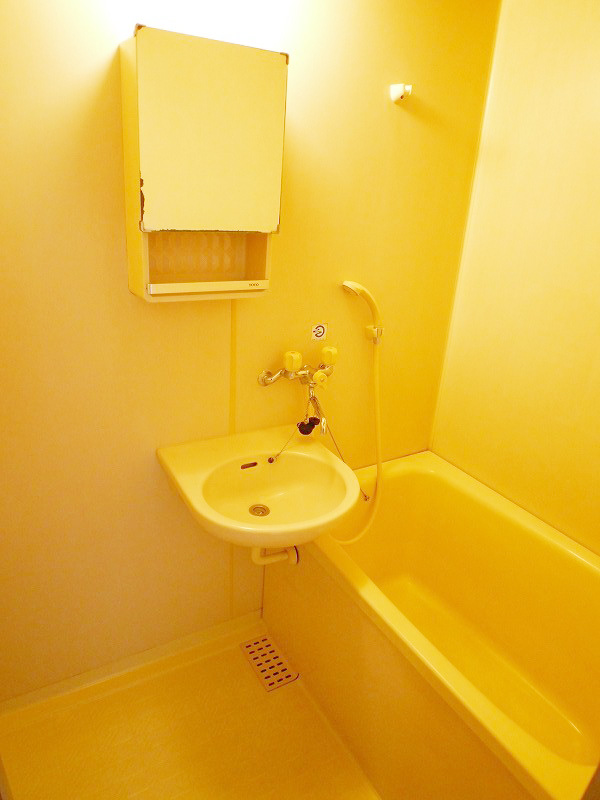 Bath. Spacious bathroom