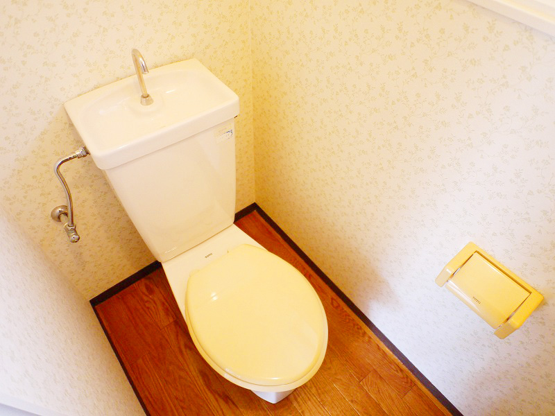 Toilet. With happy window