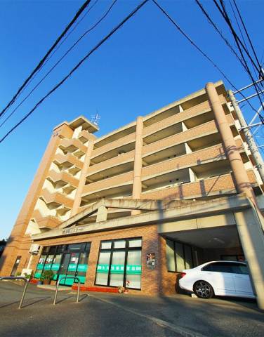 Other. Mansion Type! There is parking lot