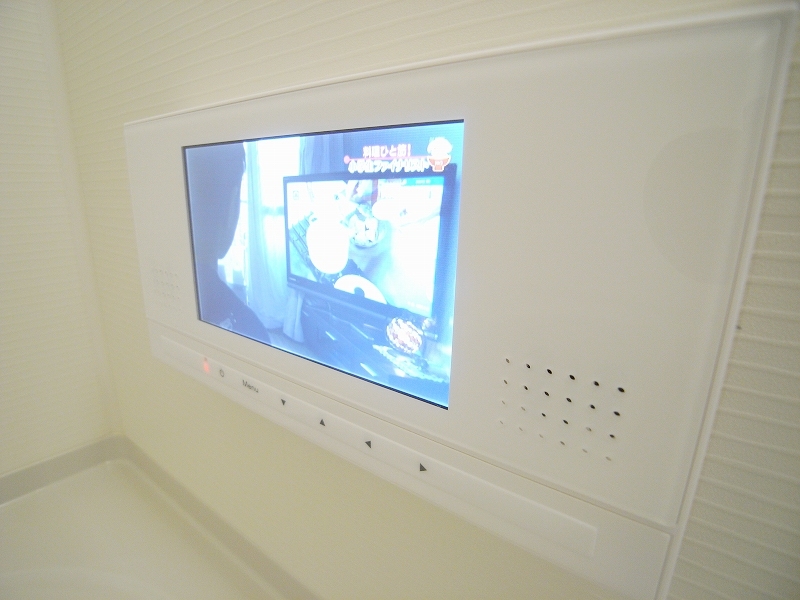 Other. Bathroom TV