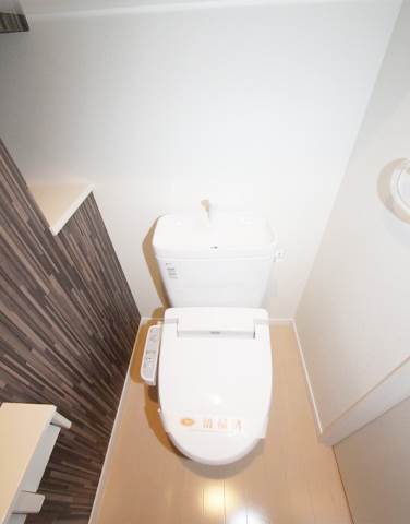 Toilet. Bidet with toilet