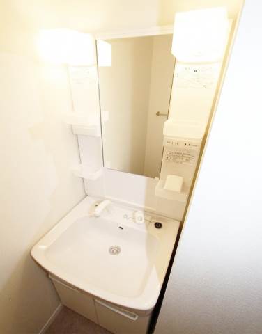 Washroom. Shampoo dresser