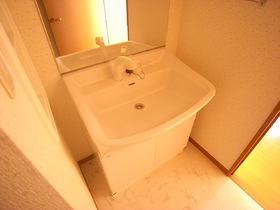 Washroom. ☆ Shampoo dresser ☆