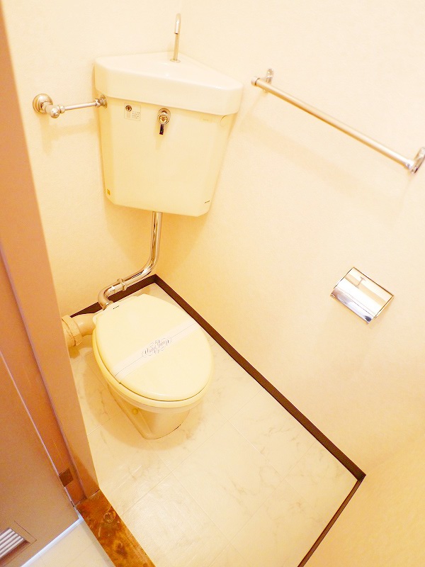 Toilet. Spacious toilet
