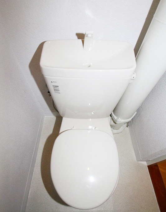 Toilet. Toilet. take your time