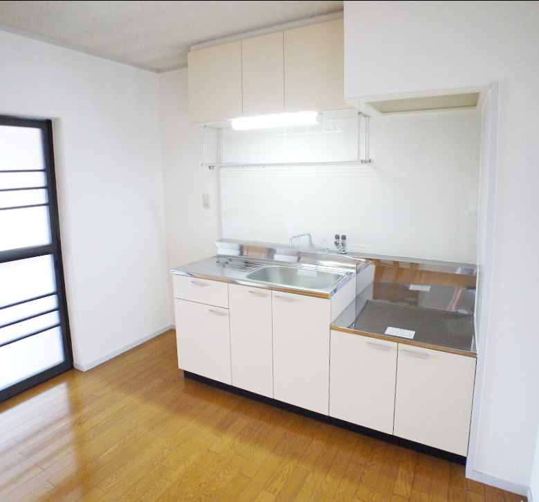 Kitchen. Spacious spacious kitchen of living