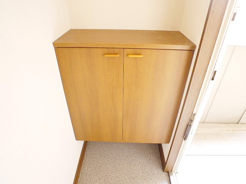 Entrance. Entrance, There is also a perfectly cupboard